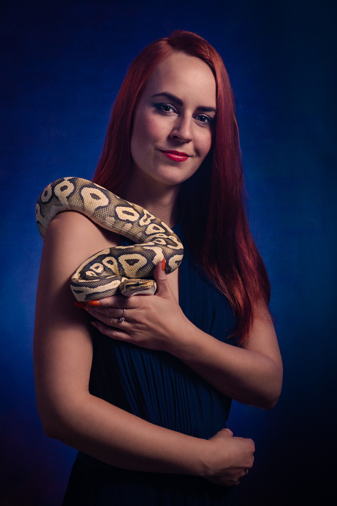 snake with women, fotka s hadem, atelier, barevné pozadí, model with snake, ladie and snake, zena s hadem, had, Lučiště, krajta, zrzka, python regius, modré pozadí